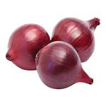 Onion