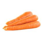 Carrot