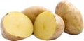 Potato